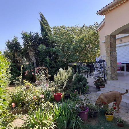 Villa Sans Souci Et Agreable Ла-Сейн-сюр-Мер Екстер'єр фото